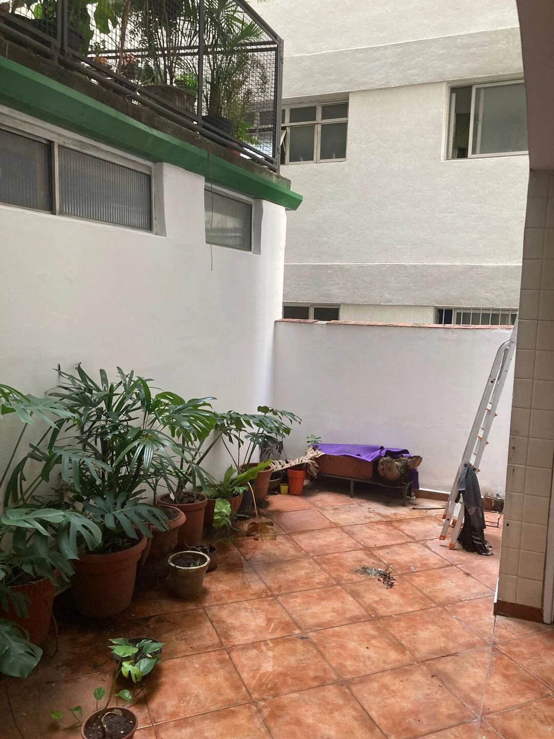 https://archello.com/story/141986/attachments/photos-videos/65 photo_credit Guilherme Pucci