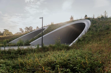 Kinder Land Bridge and Cyvia and Melvyn Wolff Prairie: A Green Oasis in Houston’s Urban Heart Kinder Land Bridge and Cyvia and Melvyn Wolff Prairie: A Green Oasis in Houston’s Urban Heart