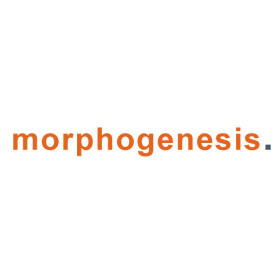 Morphogenesis. Morphogenesis.