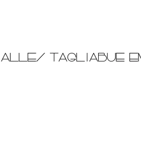 Miralles Tagliabue EMBT Miralles Tagliabue EMBT